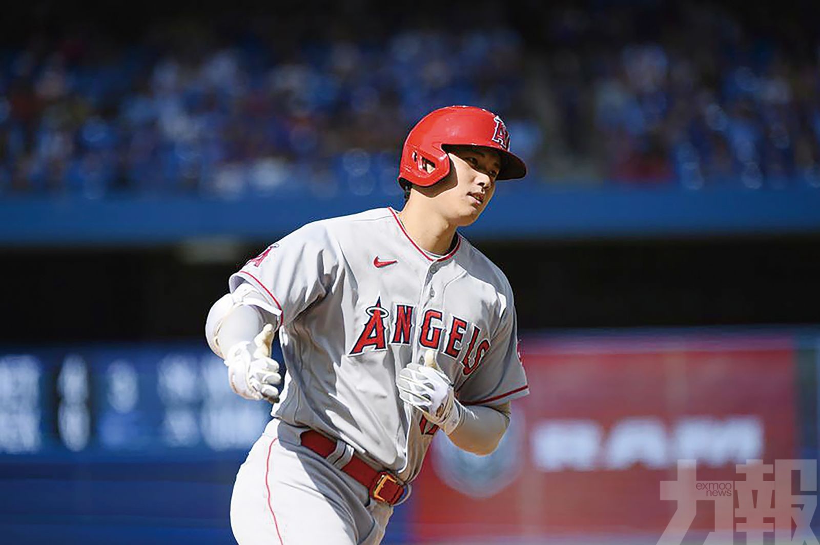 無緣入圍MLB賽揚獎